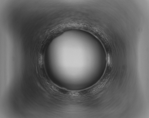 X0000113581492200909181256