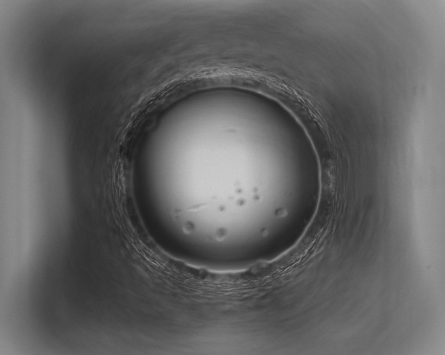 X0000113581493200909181256