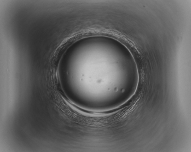 X0000113581494200909181256