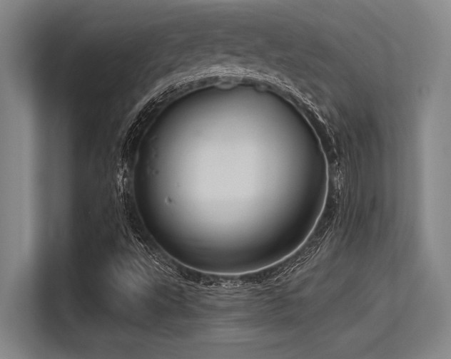 X0000113581495200909181256