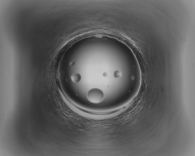 X0000113581496200909181256