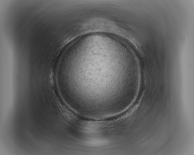 X0000113581497200909181256