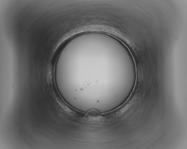 X0000113581498200909181256