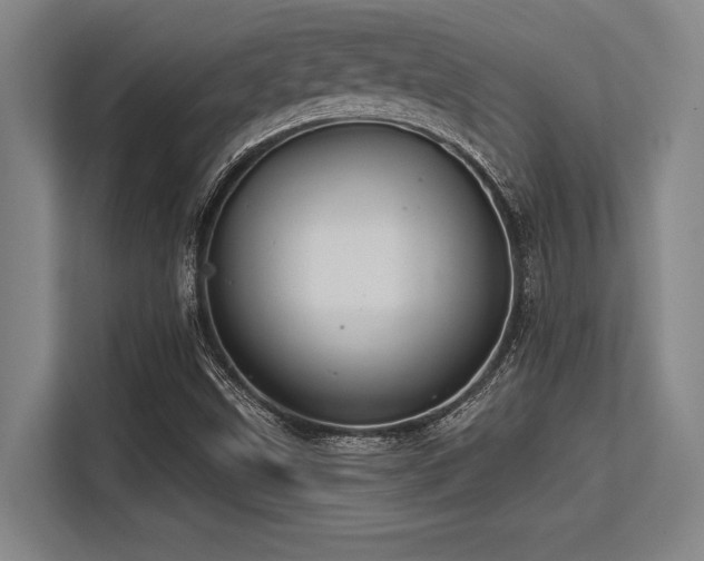X0000113581499200909181257