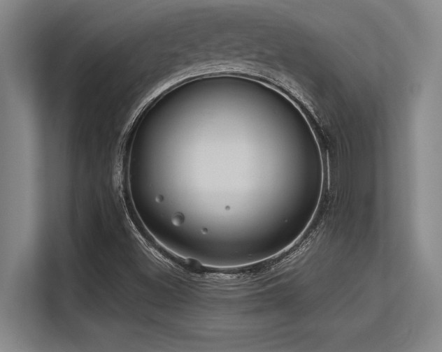 X0000113581500200909181257