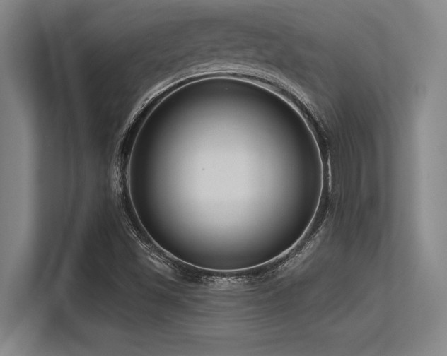 X0000113581501200909181257