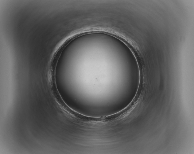 X0000113581502200909181257