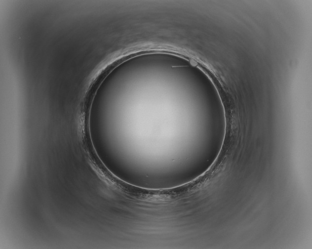 X0000113581503200909181257