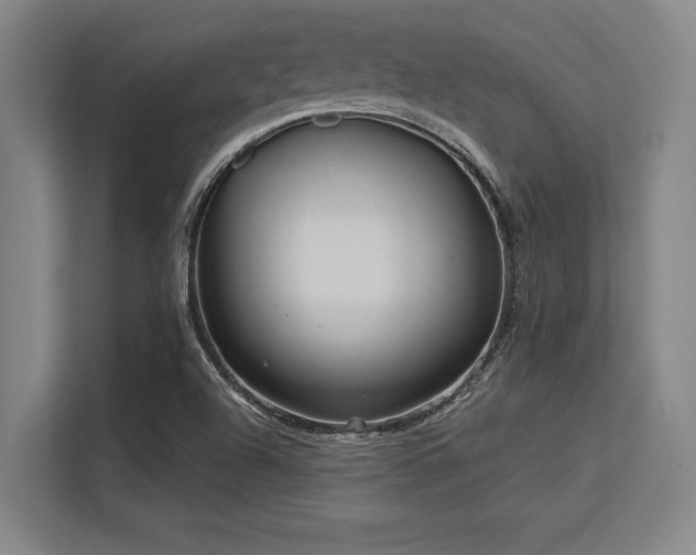 X0000113581504200909181257