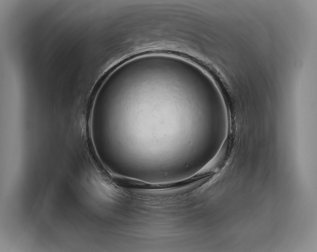X0000113581505200909181257