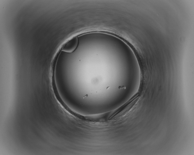 X0000113581508200909181257