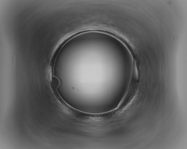 X0000113581509200909181257