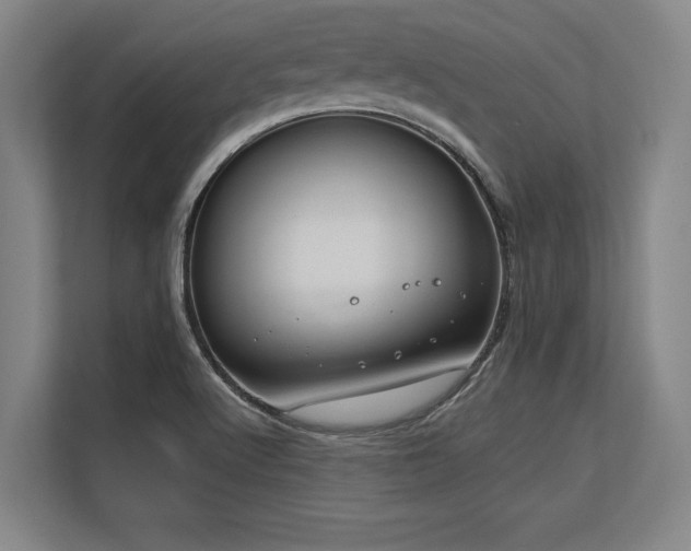 X0000113581512200909181257