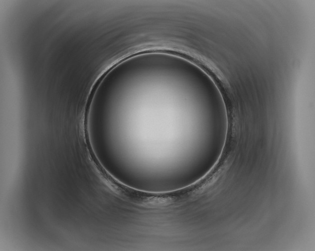 X0000113581513200909181257