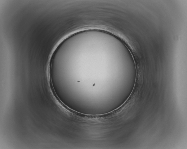 X0000113581516200909181257