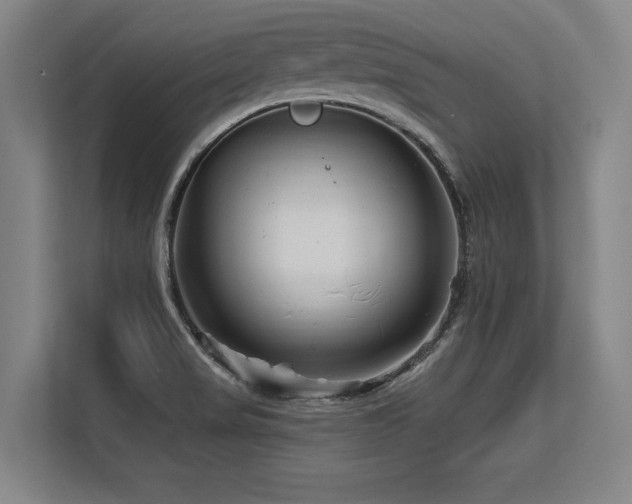 X0000113581517200909181257