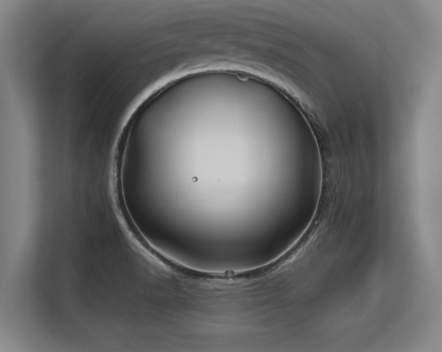 X0000113581518200909181257