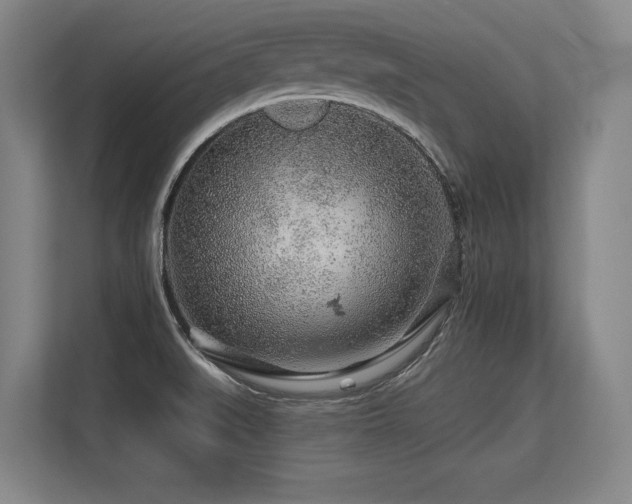 X0000113581519200909181257