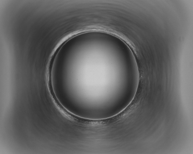 X0000113581523200909181257