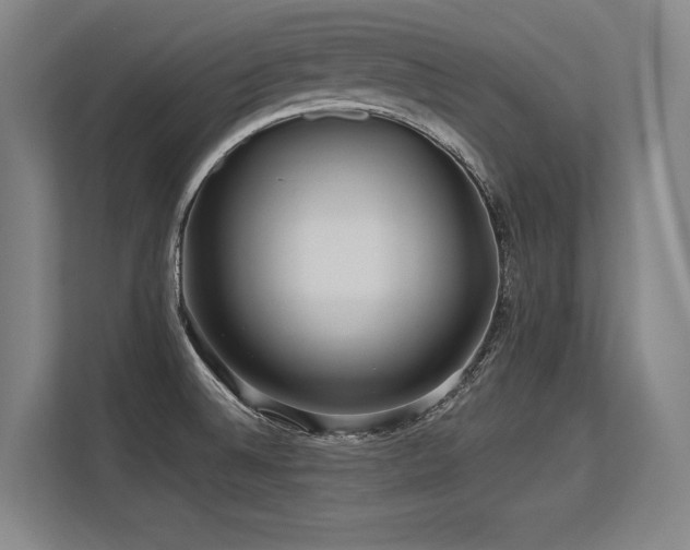 X0000113581524200909181257