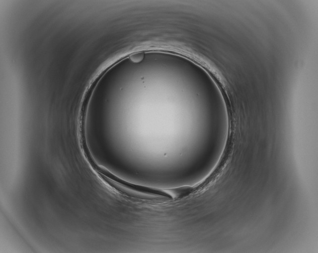 X0000113581525200909181257