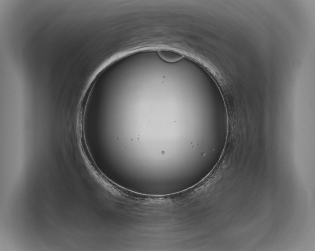 X0000113581526200909181257