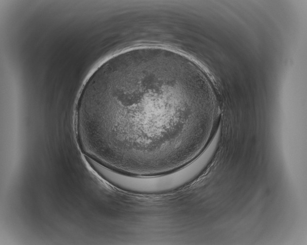 X0000113581527200909181257
