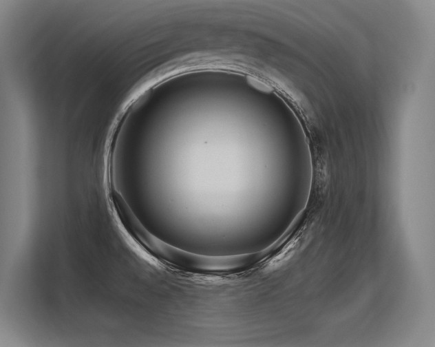 X0000113581528200909181257