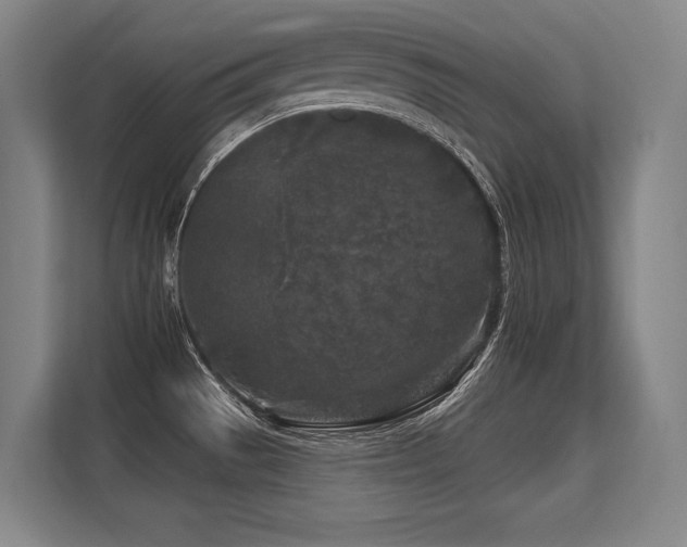 X0000113581529200909181257