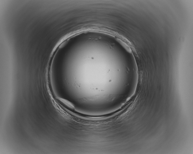 X0000113581530200909181257