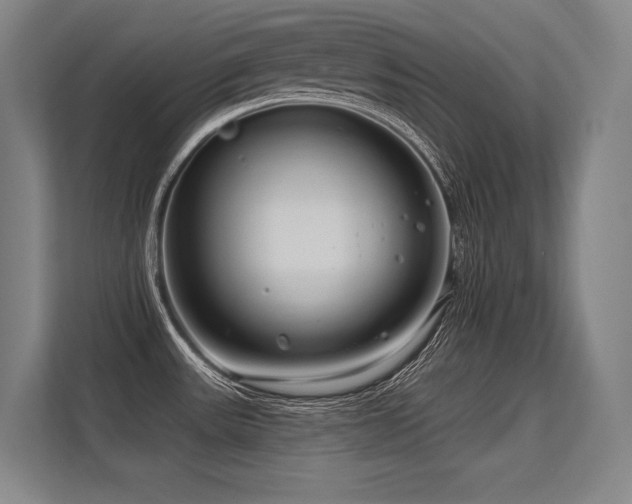 X0000113581531200909181257