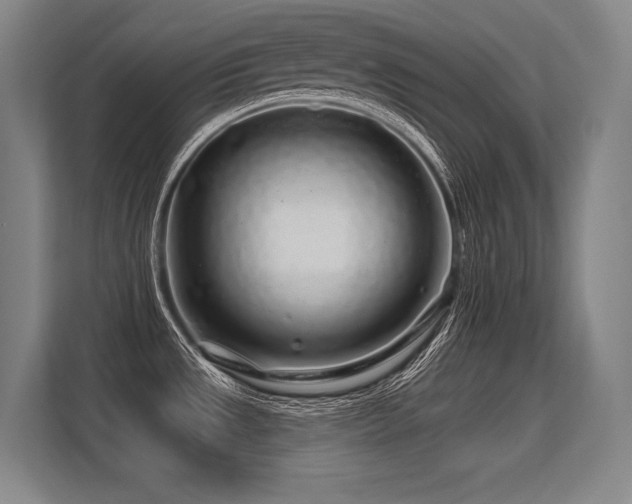 X0000113581533200909181257