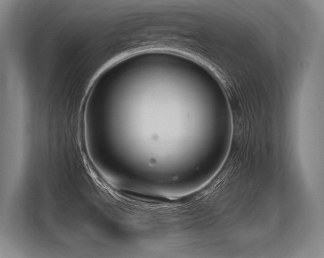 X0000113581534200909181257