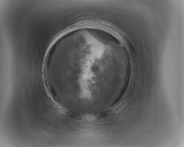 X0000113581536200909181257