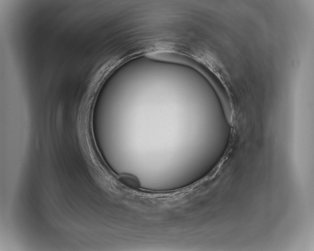 X0000113580001200909251205