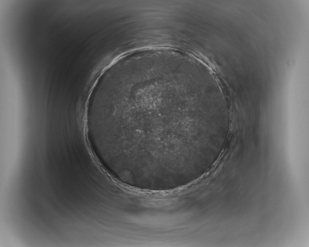 X0000113580002200909251205