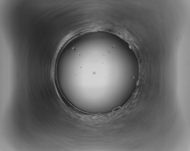 X0000113580003200909251205