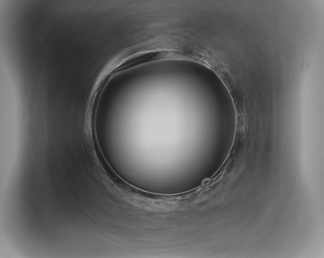 X0000113580004200909251205