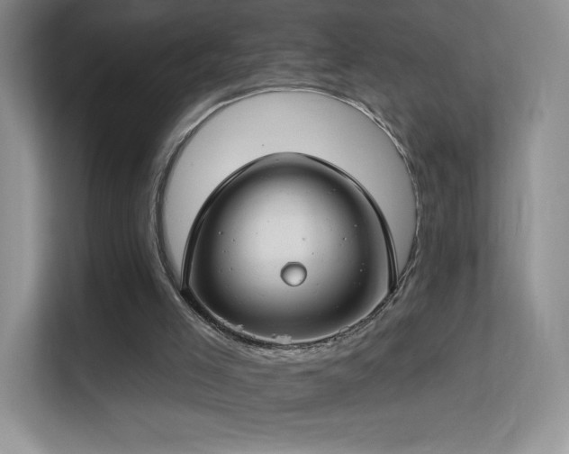 X0000113580005200909251205