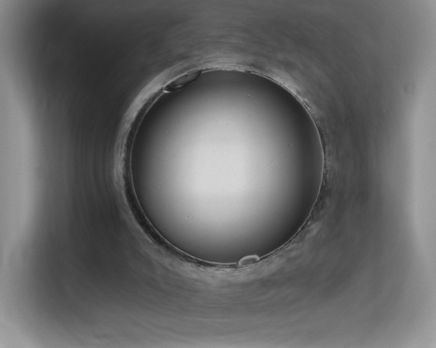 X0000113580007200909251205