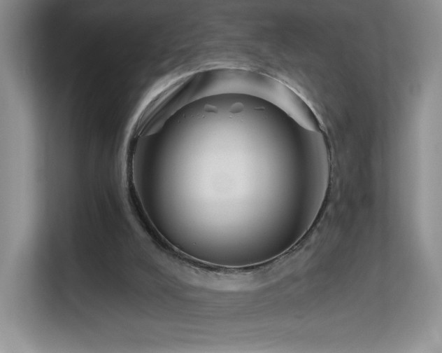 X0000113580008200909251205