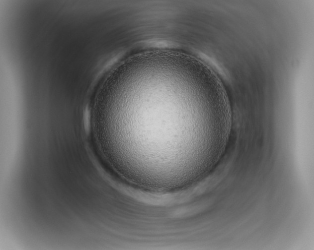 X0000113580014200909251205