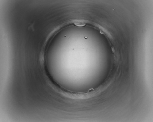 X0000113580015200909251205