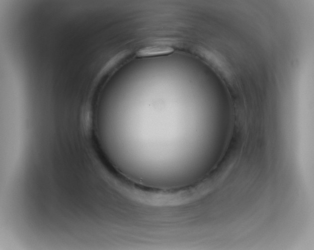 X0000113580016200909251205