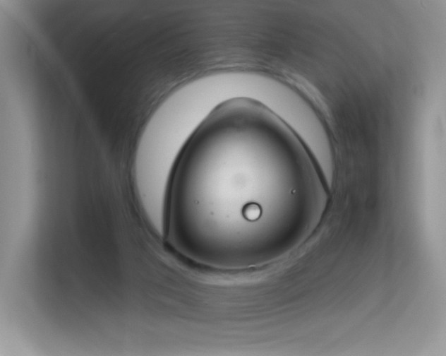 X0000113580017200909251205