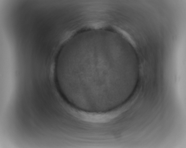 X0000113580018200909251205