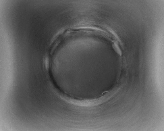 X0000113580019200909251205