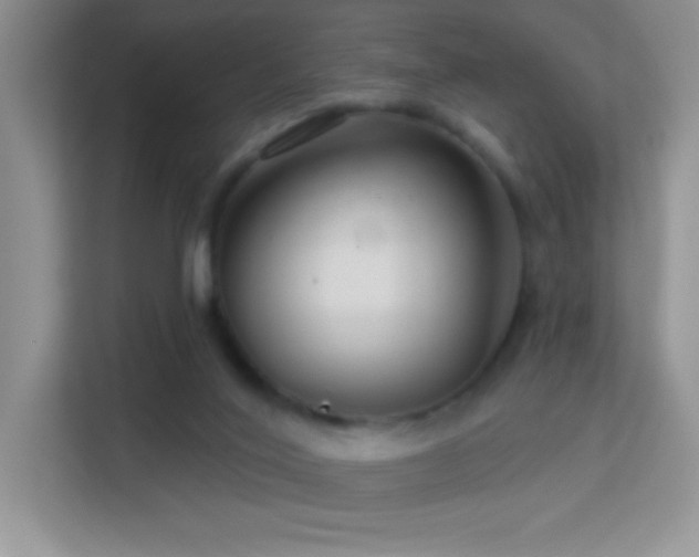 X0000113580020200909251205