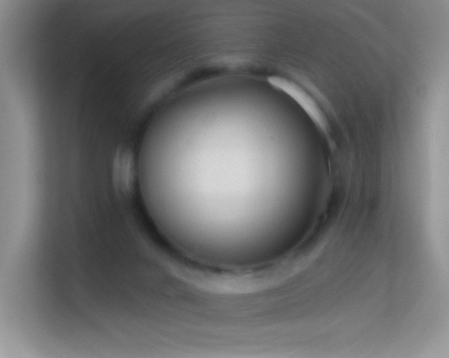 X0000113580024200909251205