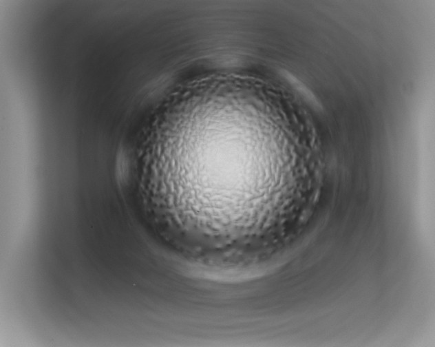 X0000113580026200909251204